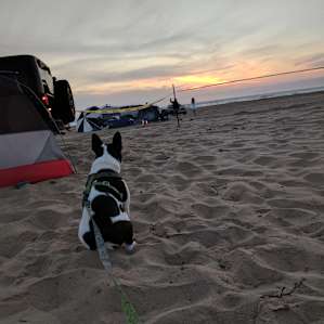 We love that it is dog friendly!!