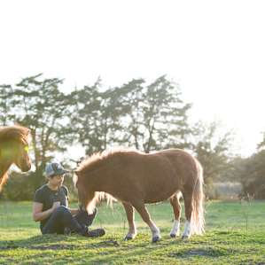 The mini horses were so friendly and always happy to come up for some pets and mini carrots