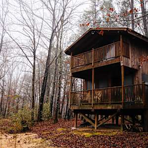 cabin forest lodging