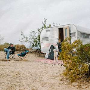 people rv dog
