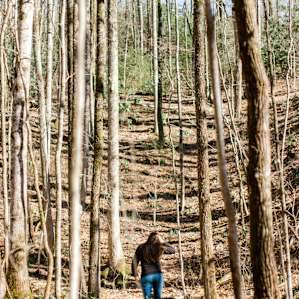 Take a stroll through the trees, or up the street to the creek.