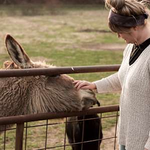 Friendly farm animals