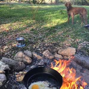 Camp by the Creek 1