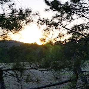 View from the camp