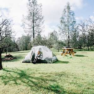 There's lots of space at Roadrunner Farm to pitch your tent with friends. It was like having your own private campground.