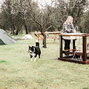 tent forest people