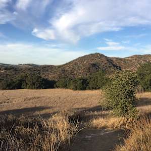 Musch Trail Camp