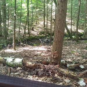 View from our site.