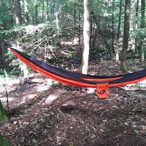 A little work to find a good set of hammock trees, but they are there!