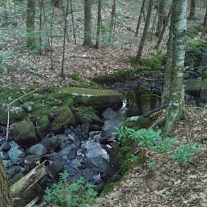 The small stream framing our campsite
