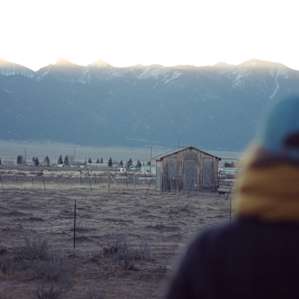 Camels and a Yurt