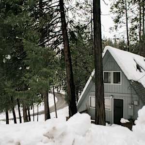 Looks so cute covered in snow!