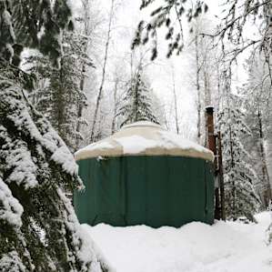Small Yurt Tucked in the Woods
