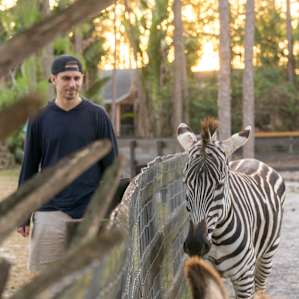 Ozzie the Zebra