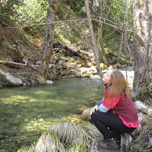 Ponderosa Campground