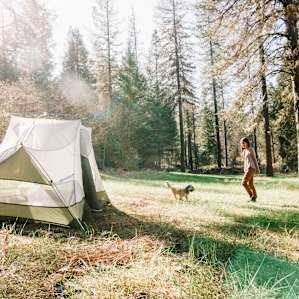 tent forest people