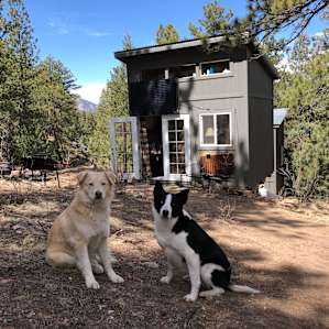 Secluded Rustic Glam Artist's Cabin