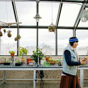 Pepper Jay in the greenhouse.