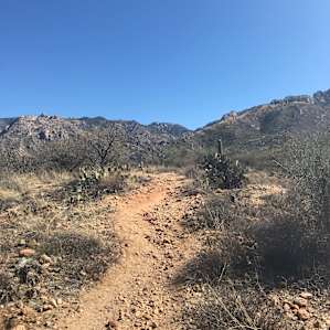 Catalina Campground