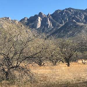 Catalina Campground