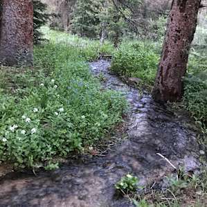 Monarch Park Campground