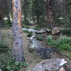 Monarch Park Campground
