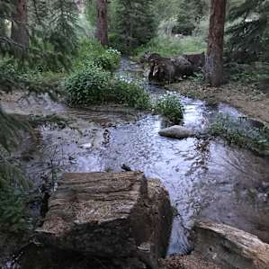 Monarch Park Campground