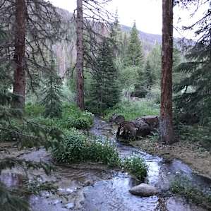 Monarch Park Campground
