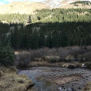 Guanella Pass Campground
