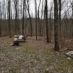 Rustic Camping in Turkey Hollow