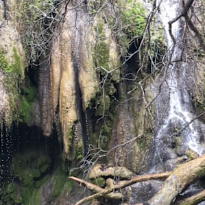 Colorado Bend State Park Campground