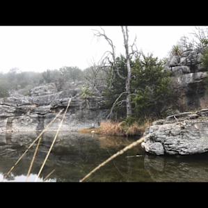 Colorado Bend State Park Campground