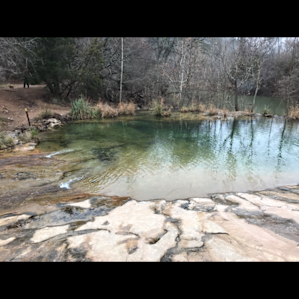 Colorado Bend State Park Campground