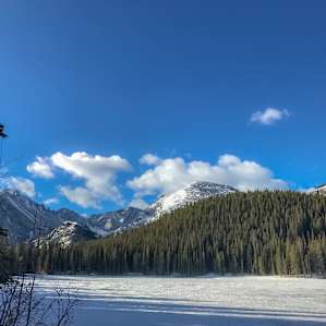 Glacier Basin Campground
