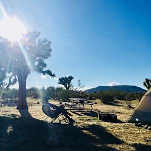Light Park Tent Camping