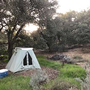 Sheltered in the oaks