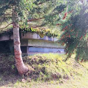 From the east side look