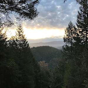 View from site