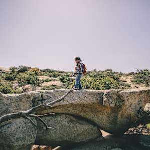 My son was loving some of the rock scrambling around Camp site 1 "scrub oak arroyo".