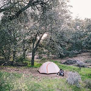 Camp site 5 "whispering Oaks"
A Magical little spot!