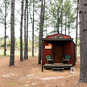 cabin forest lodging