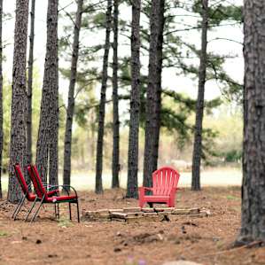 forest amenity fire pit