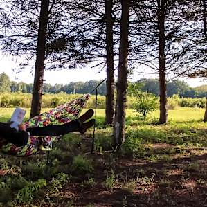 Perfect copse of trees for a hammock!