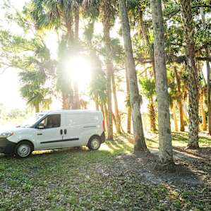 A perfect campsite beneath the palms!