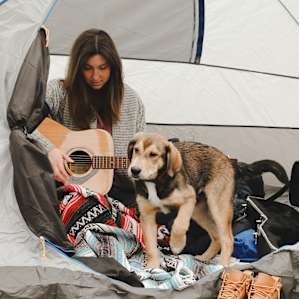 tent people dog