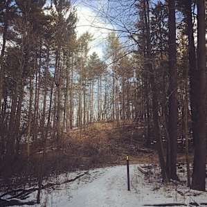 Wisconsin's Ice Age Trail winds through over 30 miles of the Northern Kettle Moraine State Forest