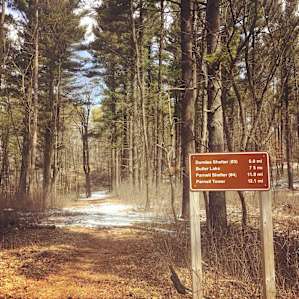 entrance to Ice Age Trail heading north towards the Parnell Lookout Tower. approx 12 miles to the Tower. parking is available at Mauthe Lake Campground entrance (State Parks sticker required)
