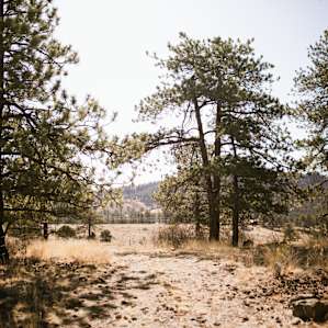 Royal Mountain Camp Site
