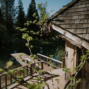 Back view of the friendly vines reaching around the sauna.