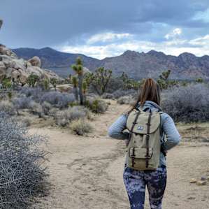 Make sure to take plenty of water during your exploration of Joshua Tree!
